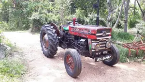 Massey-Ferguson 135 D 25 6297 1982 Tractor (Used)