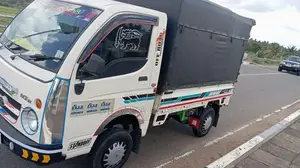 Tata Dimo Batta 2010 Lorry (Used)