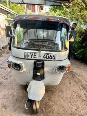 Hero Electric 2010 Three Wheel (Used)