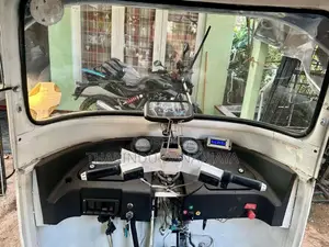 Hero Electric 2010 Three Wheel (Used)