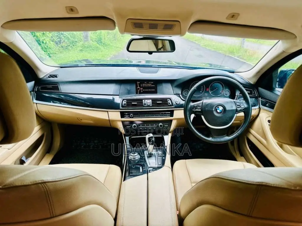 BMW 520D 2012 Car (Used)