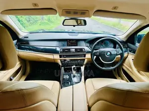 BMW 520D 2012 Car (Used)