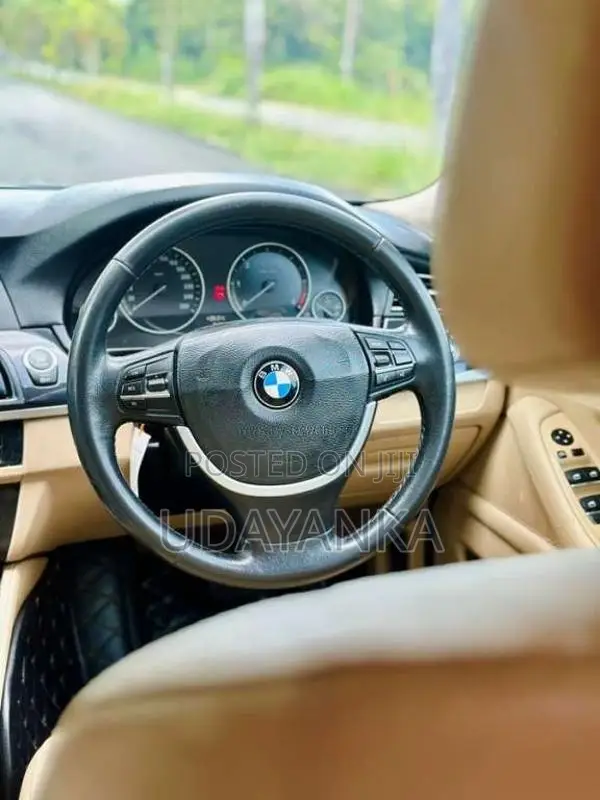 BMW 520D 2012 Car (Used)