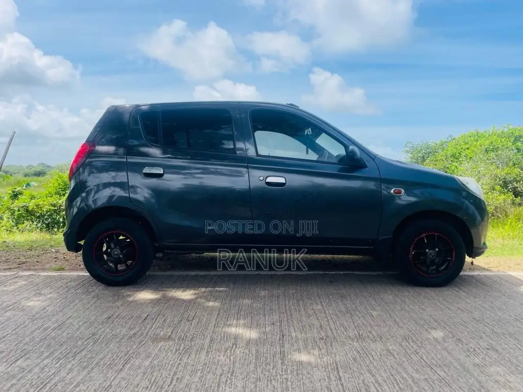 Suzuki Alto 2015 Car (Used)