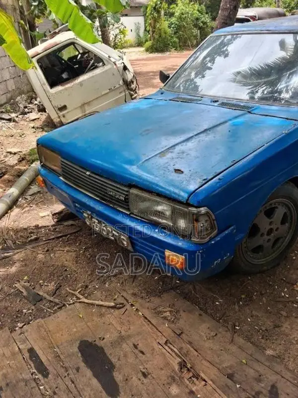 Datsun . 1981 Car (Used)