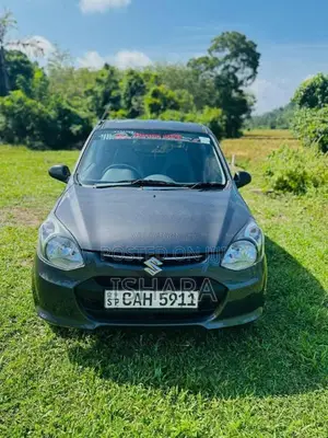 Suzuki Alto 2015 Car (Used)