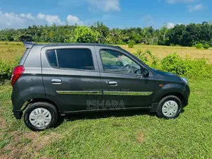 Suzuki Alto 2015 Car (Used)