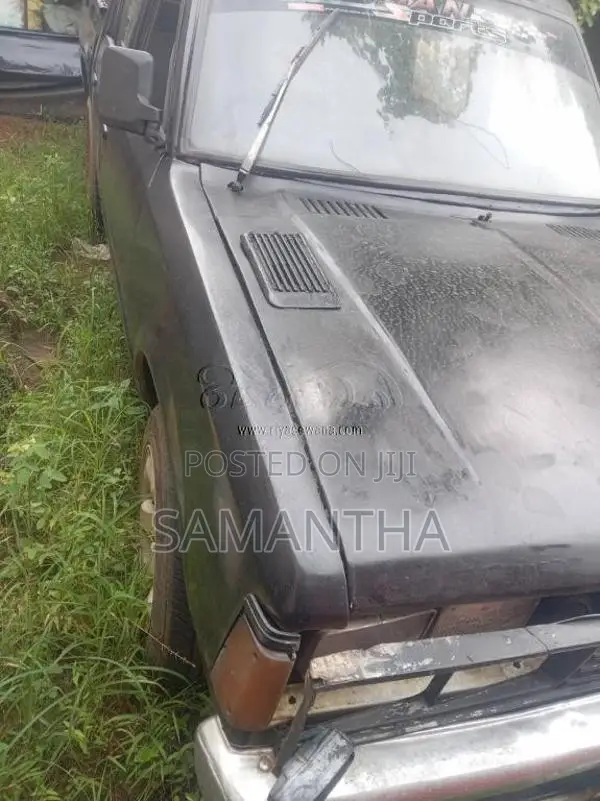 Datsun D22 1982 Pickup (Used)