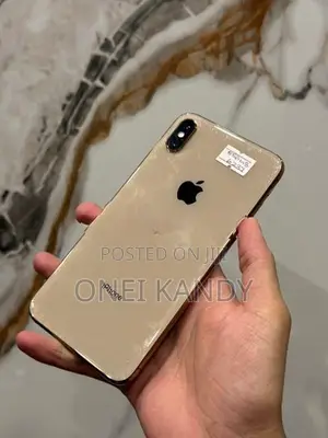 Apple iPhone XS Max 256GB (Used)