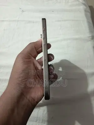 Apple iPhone 16 Pro 256GB (Used)