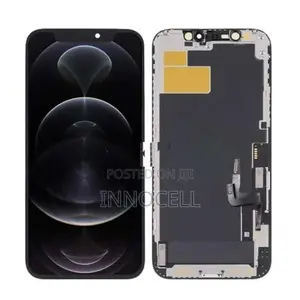 Apple iPhone 12 Pro Max Display