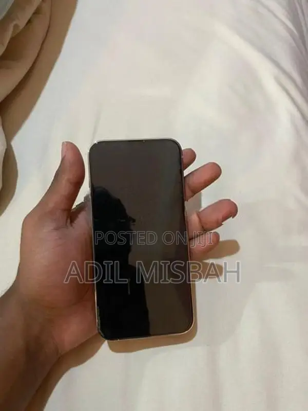 Apple iPhone 13 Pro (Refurbished)