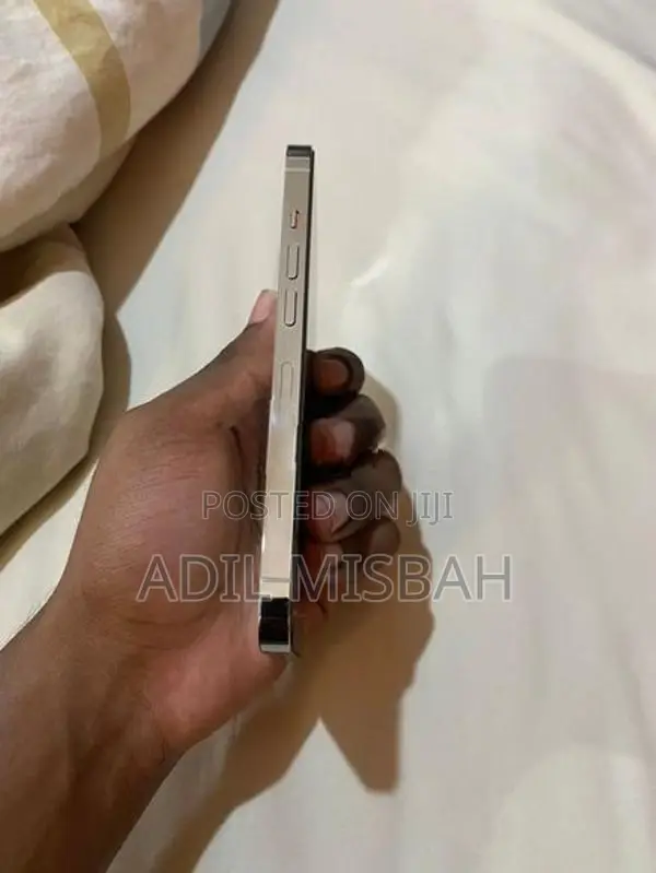 Apple iPhone 13 Pro (Refurbished)