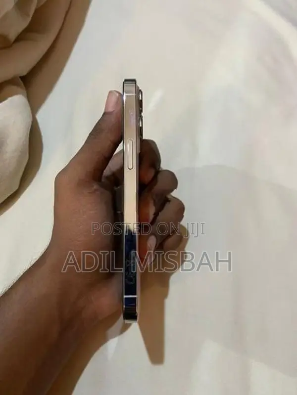 Apple iPhone 13 Pro (Refurbished)