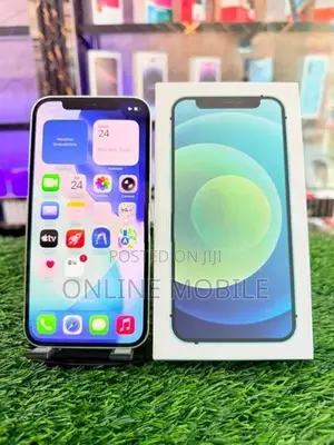 Apple iPhone 12 (Used)
