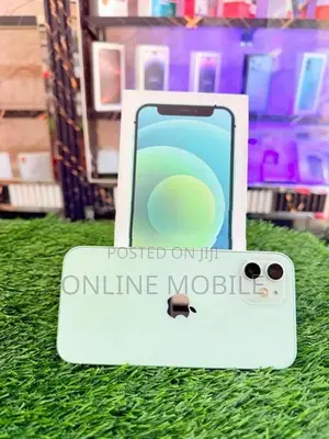 Apple iPhone 12 (Used)
