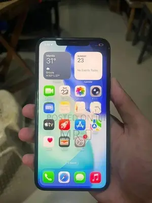 Apple iPhone 11 Pro Max 256GB (Used)