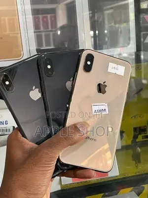 Apple iPhone XS 256GB (Used)