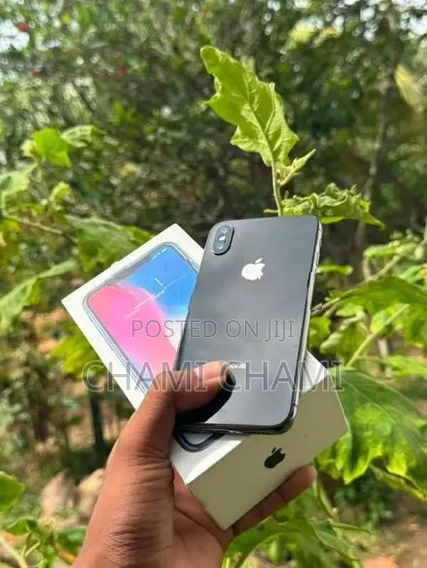 Apple iPhone X (Used)