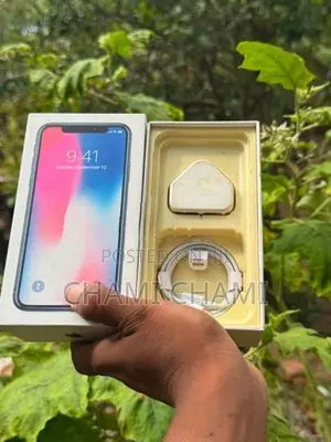 Apple iPhone X (Used)