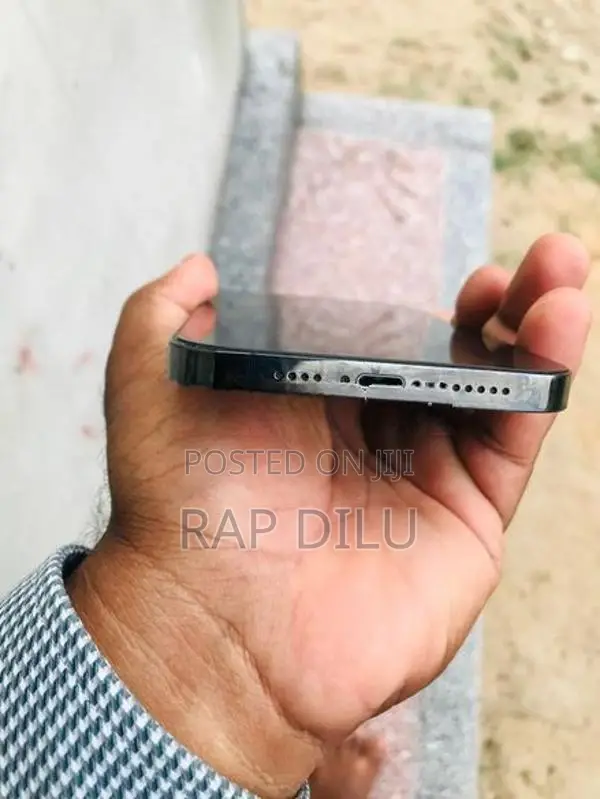 Apple iPhone 12 Pro Max (Used)