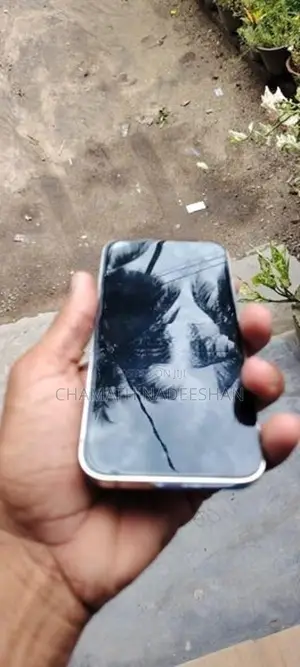 Apple iPhone 13 Pro (Used)