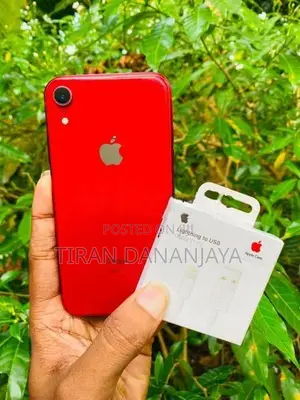 Apple iPhone XR 64Gb (Used)