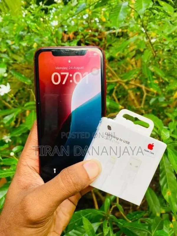 Apple iPhone XR 64Gb (Used)