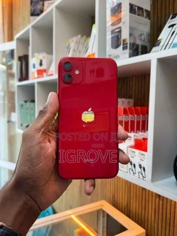 Apple iPhone 11 256GB (Used)