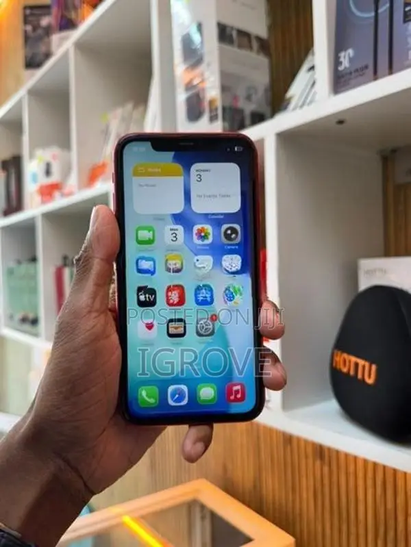 Apple iPhone 11 256GB (Used)