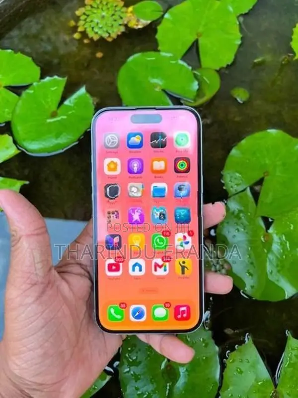 Apple iPhone 15 (Used)