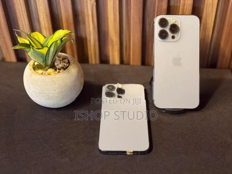 Apple iPhone 12 Pro 256GB (Used)
