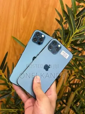 Apple iPhone 12 Pro 256GB (Used)