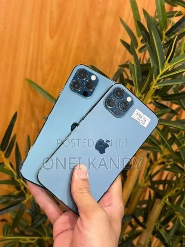 Apple iPhone 12 Pro 256GB (Used)