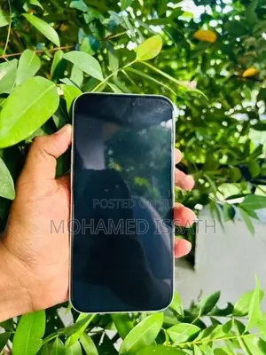 Apple iPhone 17 Pro Max (Used)