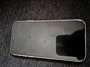 Apple iPhone 11 (Used)
