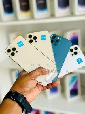 Apple iPhone 12 Pro 256GB (Used)