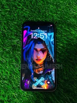 Apple iPhone X (Used)