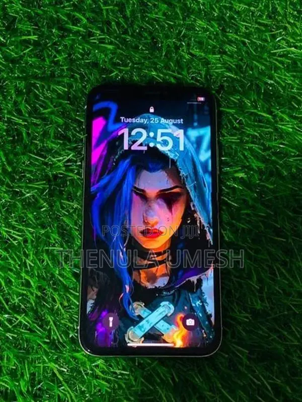 Apple iPhone X (Used)