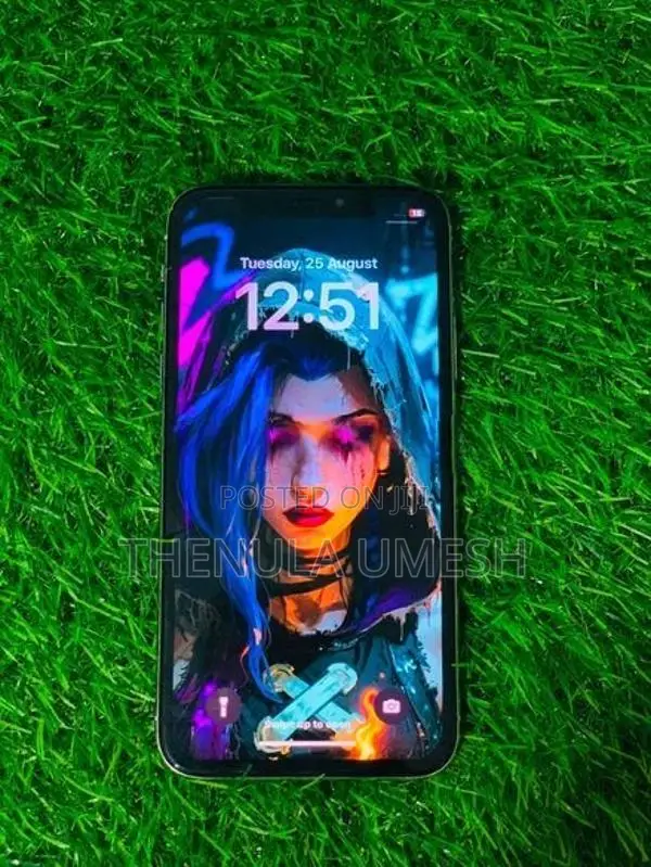 Apple iPhone X (Used)