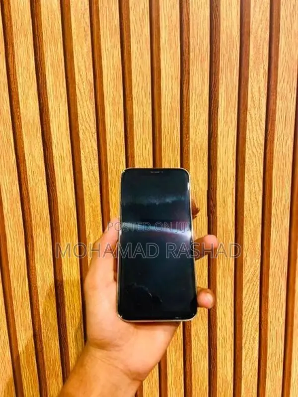 Apple iPhone X (Used)