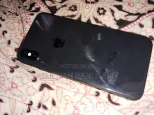 Apple iPhone X (Used)