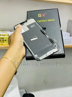 Apple iPhone 13 Pro Max Programmed GX Display