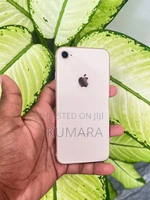 Apple iPhone 8 - 256GB (Used)