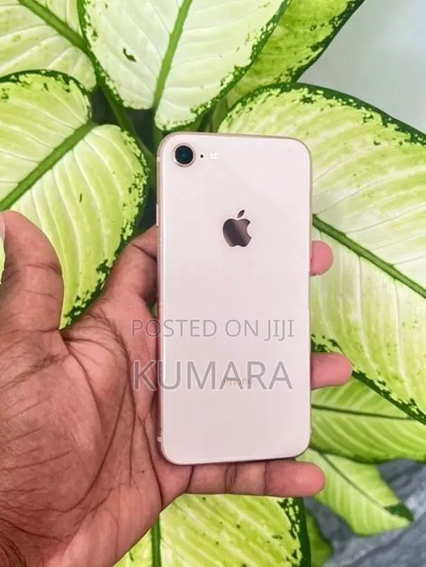 Apple iPhone 8 - 256GB (Used)