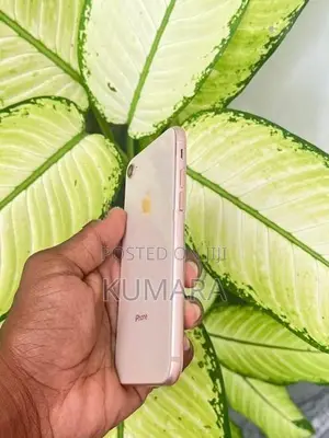 Apple iPhone 8 - 256GB (Used)