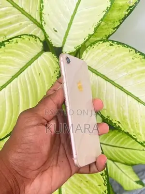 Apple iPhone 8 - 256GB (Used)