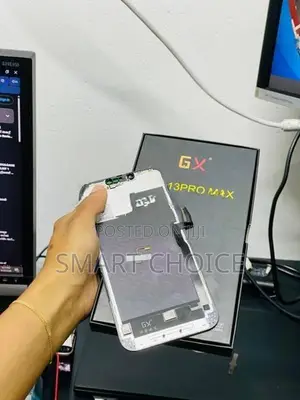 Apple iPhone 13 Pro Max GX Display