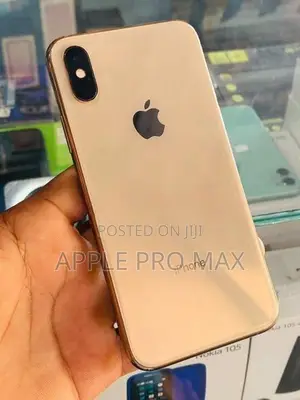 Apple iPhone XS 256GB (Used)