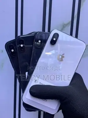 Apple iPhone X 256GB (Used)